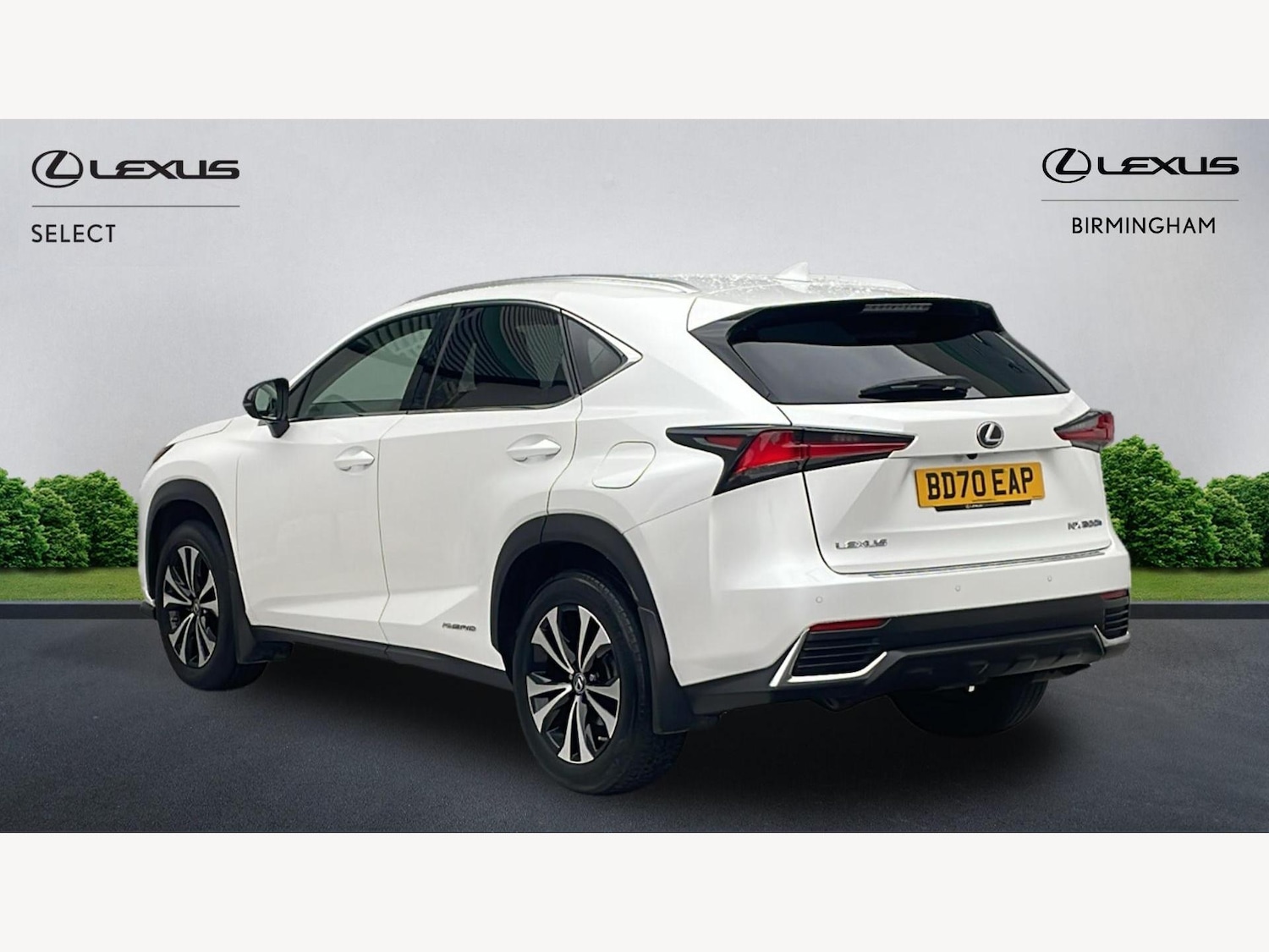 Used Lexus NX 2020 for sale - 77081264: Photo 2