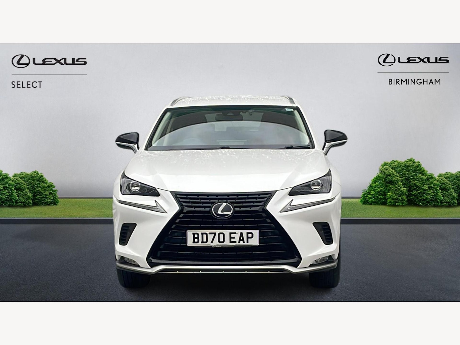 Used Lexus NX 2020 for sale - 77081264: Photo 6
