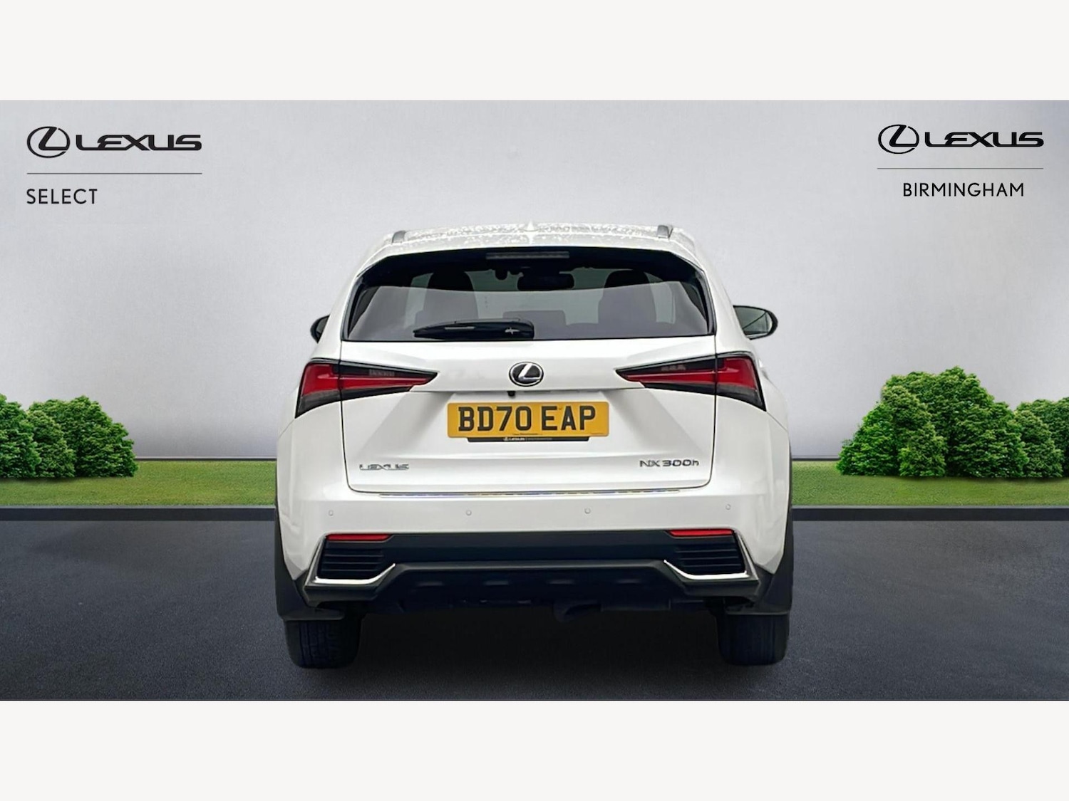 Used Lexus NX 2020 for sale - 77081264: Photo 7