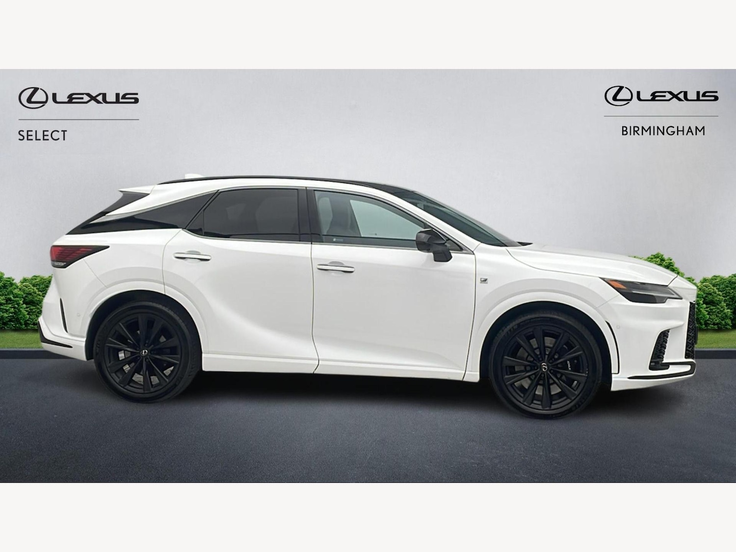 Used Lexus RX 2025 for sale - 77455891: Photo 18