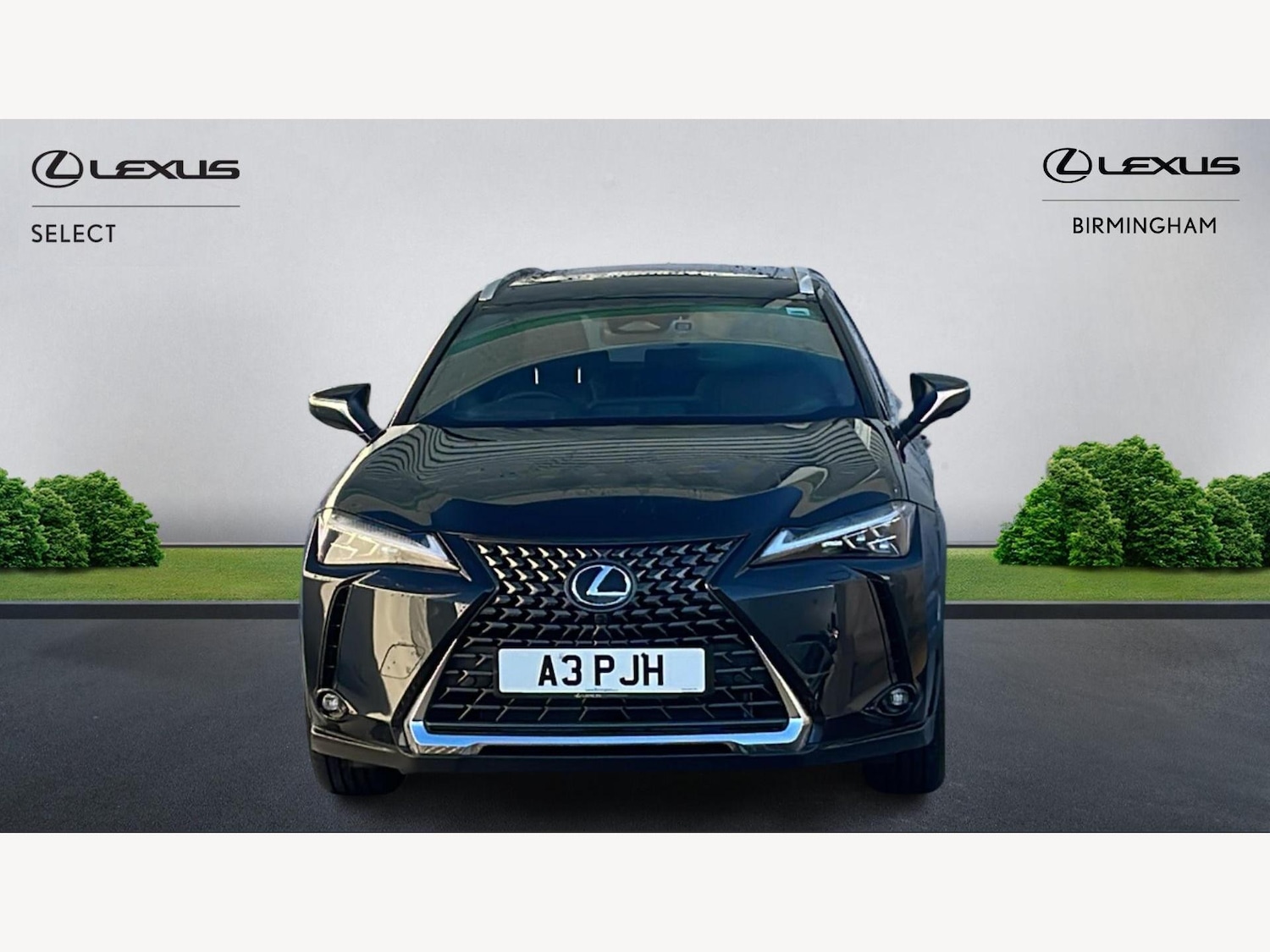 Used Lexus UX 2025 for sale - 77156697: Photo 6