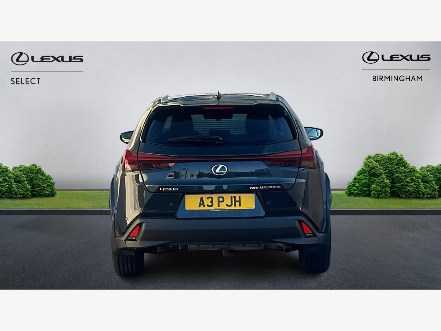 Used Lexus UX 2025 for sale - 77156697: Photo 7