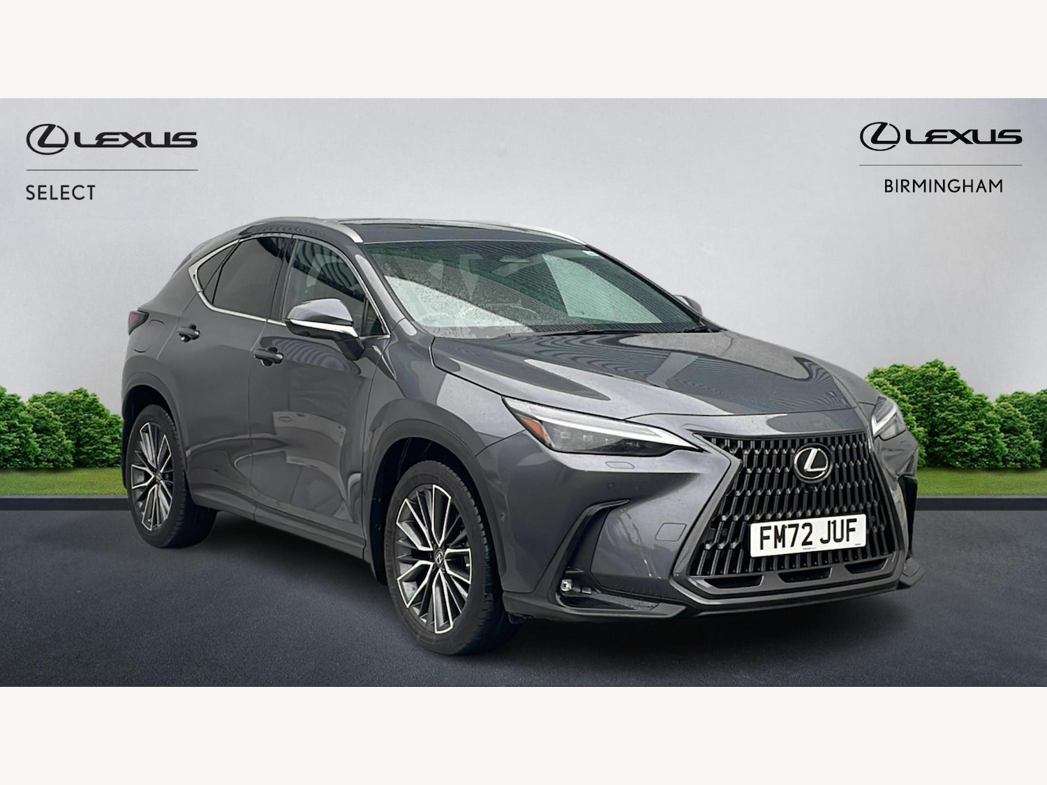Used Lexus NX 2022 for sale - 76886808: Photo 1