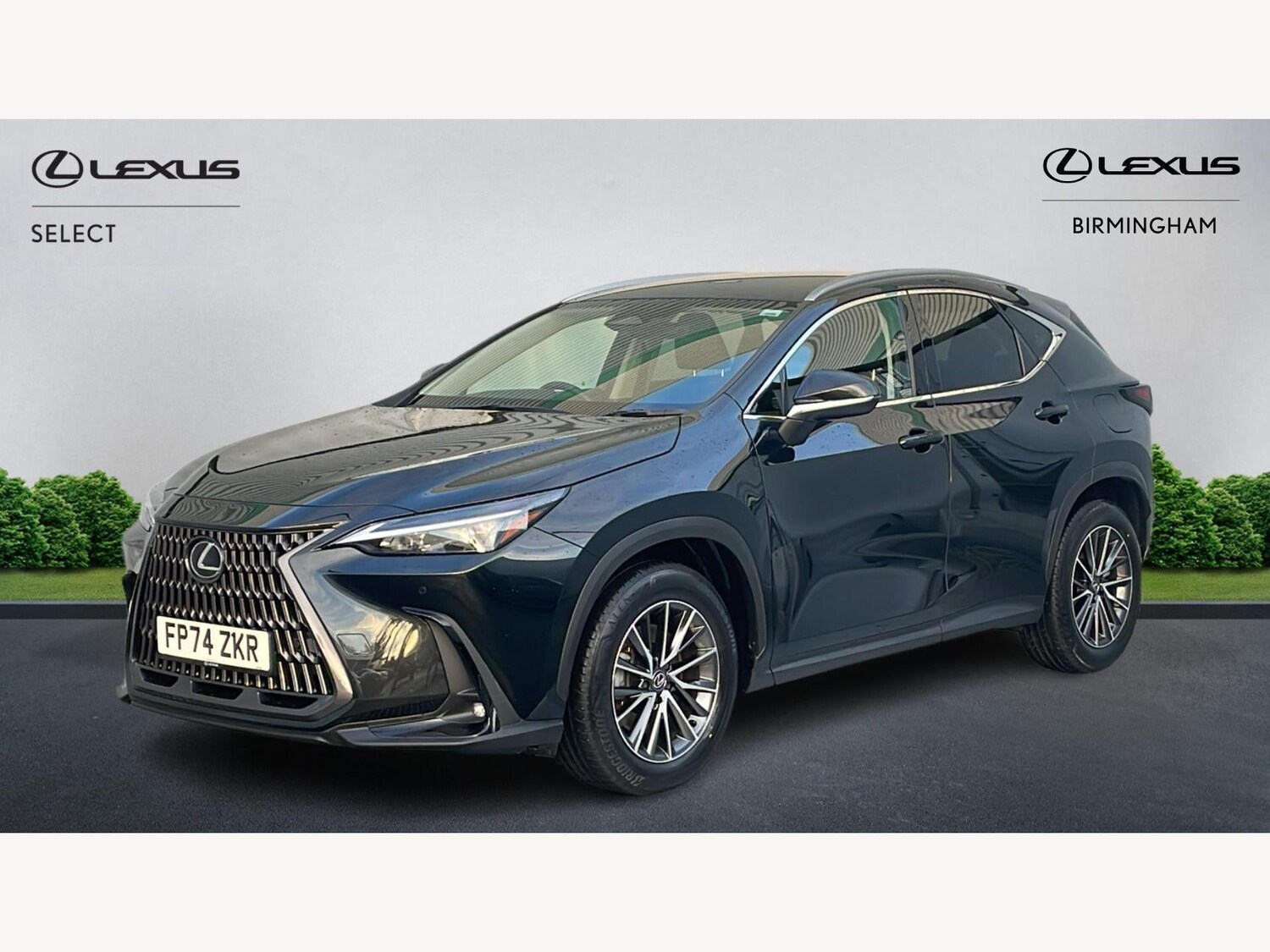Used Lexus NX for sale - 77175941: Photo 19