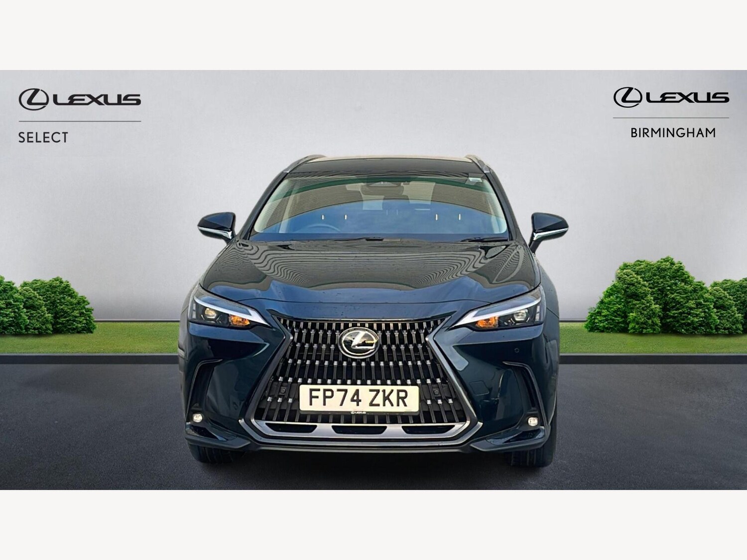 Used Lexus NX for sale - 77175941: Photo 6