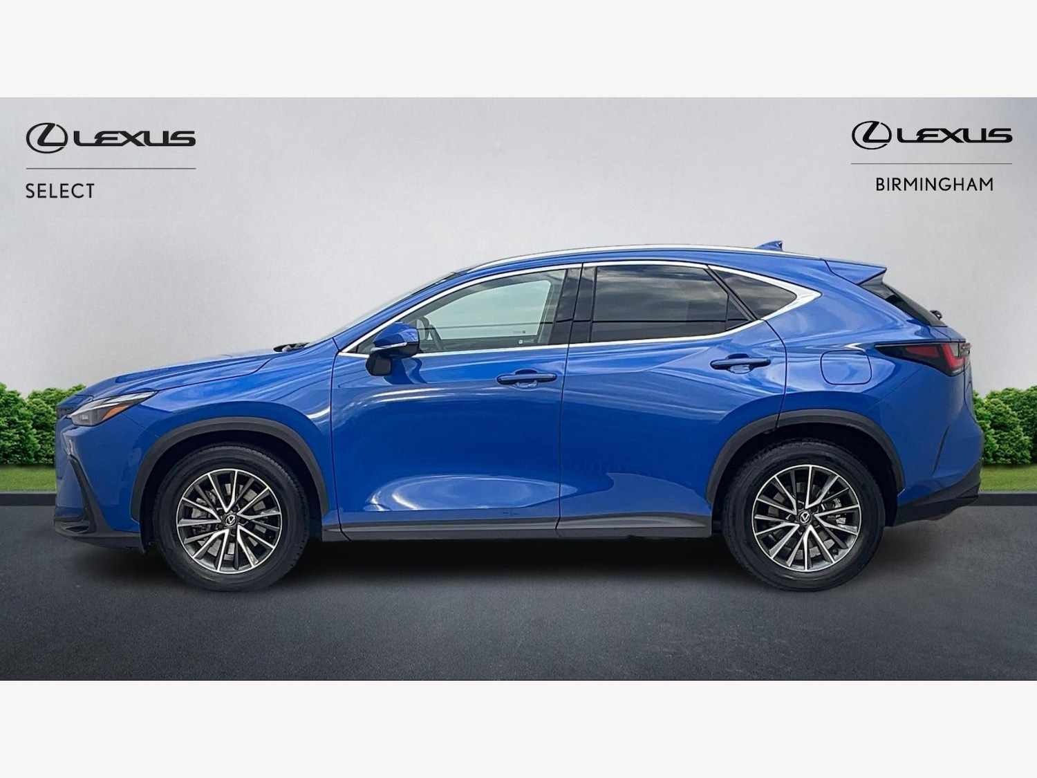 Used Lexus NX 2024 for sale - 77278524: Photo 3