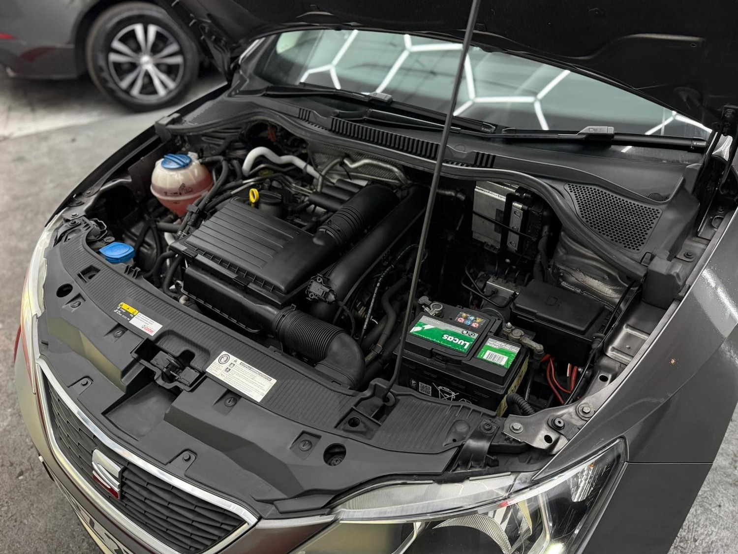 Used SEAT Ibiza 2017 for sale - 77079286: Photo 37