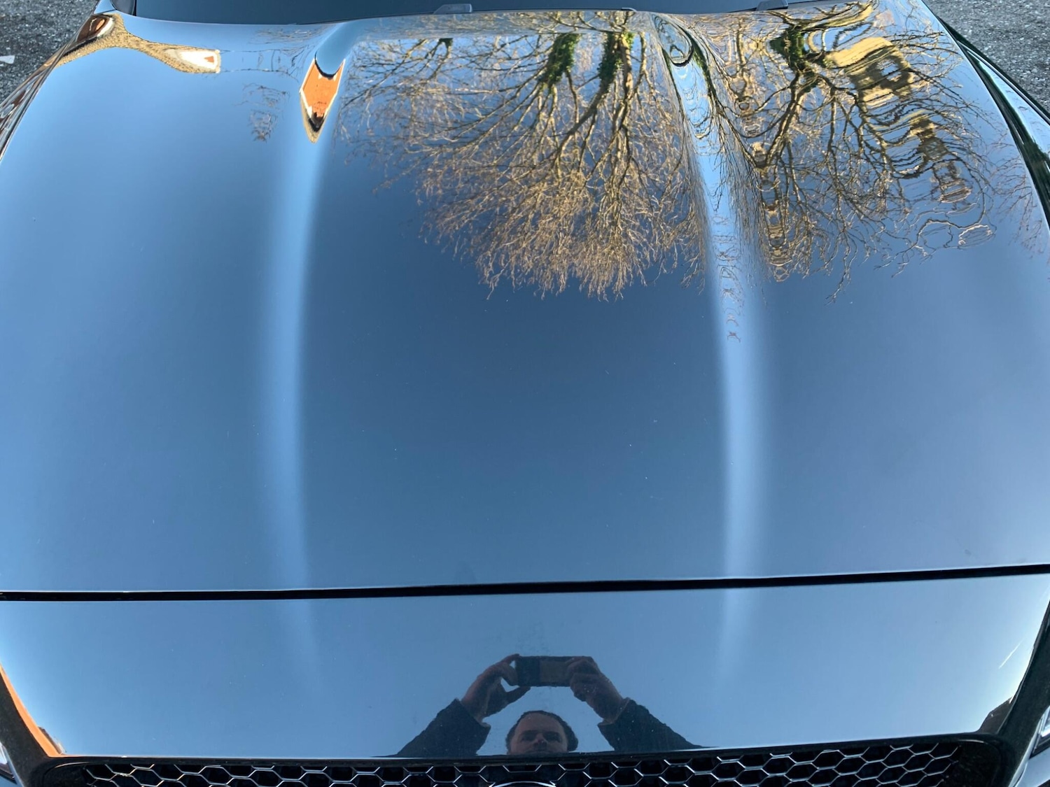 Used Jaguar F-Pace 2016 for sale - 76759717: Photo 52