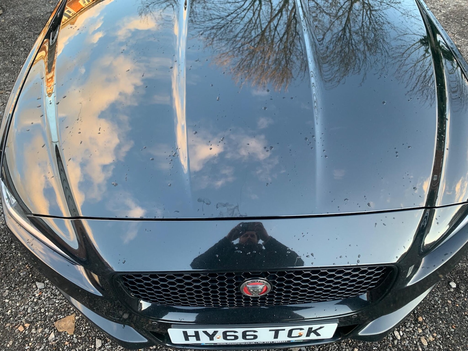 Used Jaguar XE 2016 for sale - 76759292: Photo 6