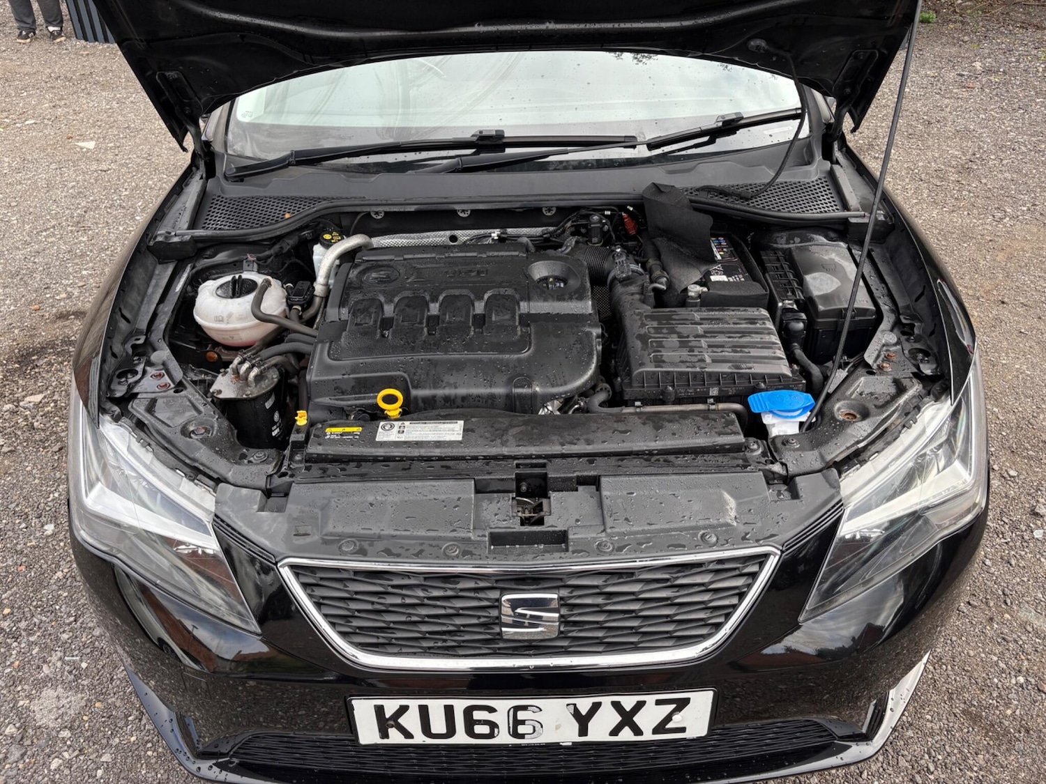 Used SEAT Leon 2016 for sale - 76318010: Photo 31