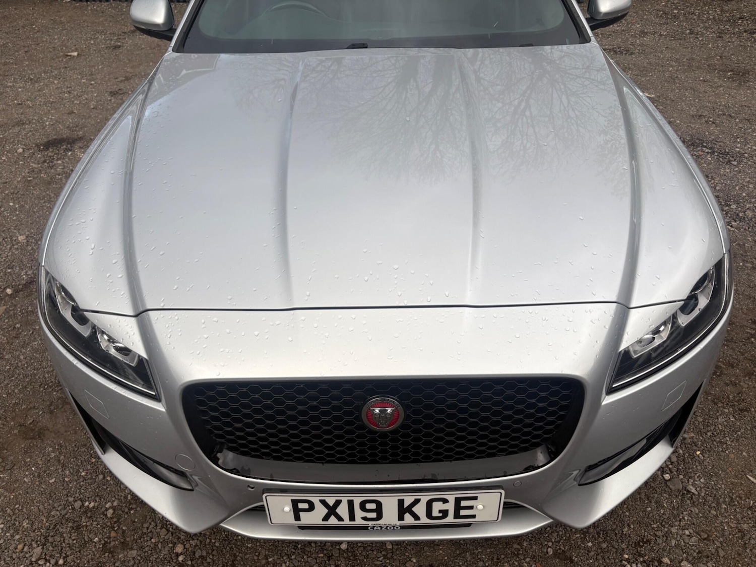 Used Jaguar XF 2019 for sale - 78185040: Photo 6