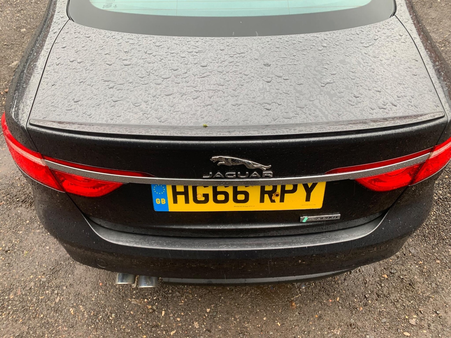 Used Jaguar XF 2016 for sale - 77478536: Photo 11