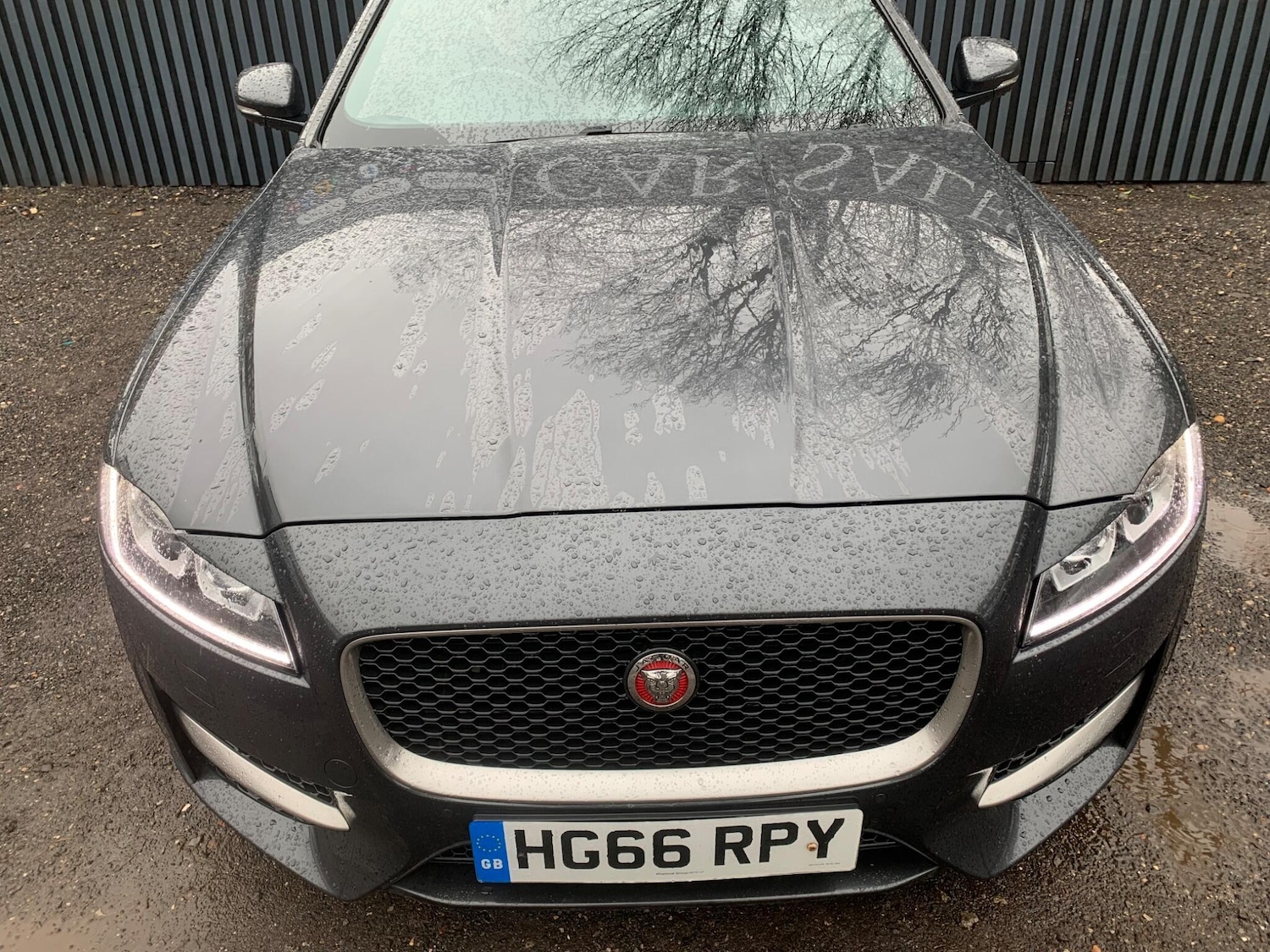 Used Jaguar XF 2016 for sale - 77478536: Photo 2