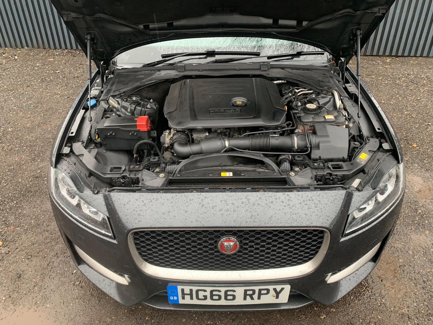 Used Jaguar XF 2016 for sale - 77478536: Photo 23