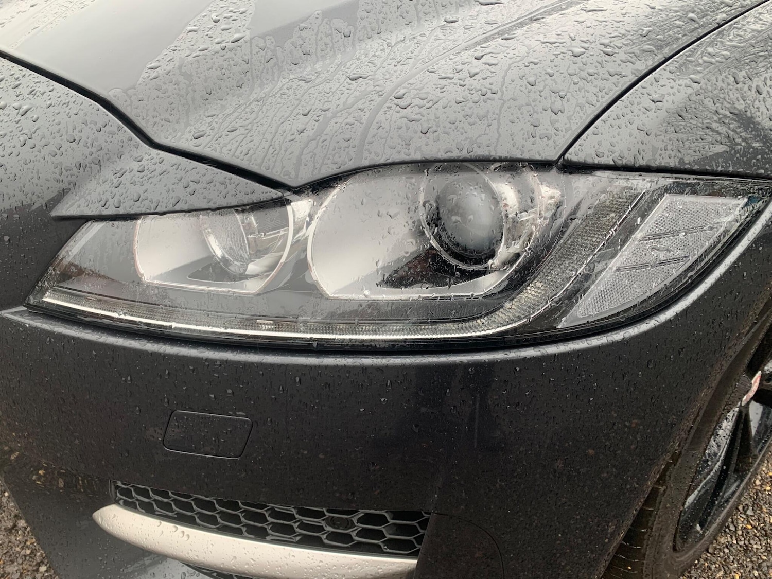 Used Jaguar XF 2016 for sale - 77478536: Photo 46