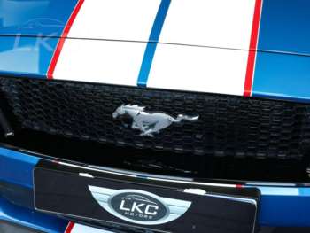 Used Ford Mustang 2021 for sale - 75202498: Photo