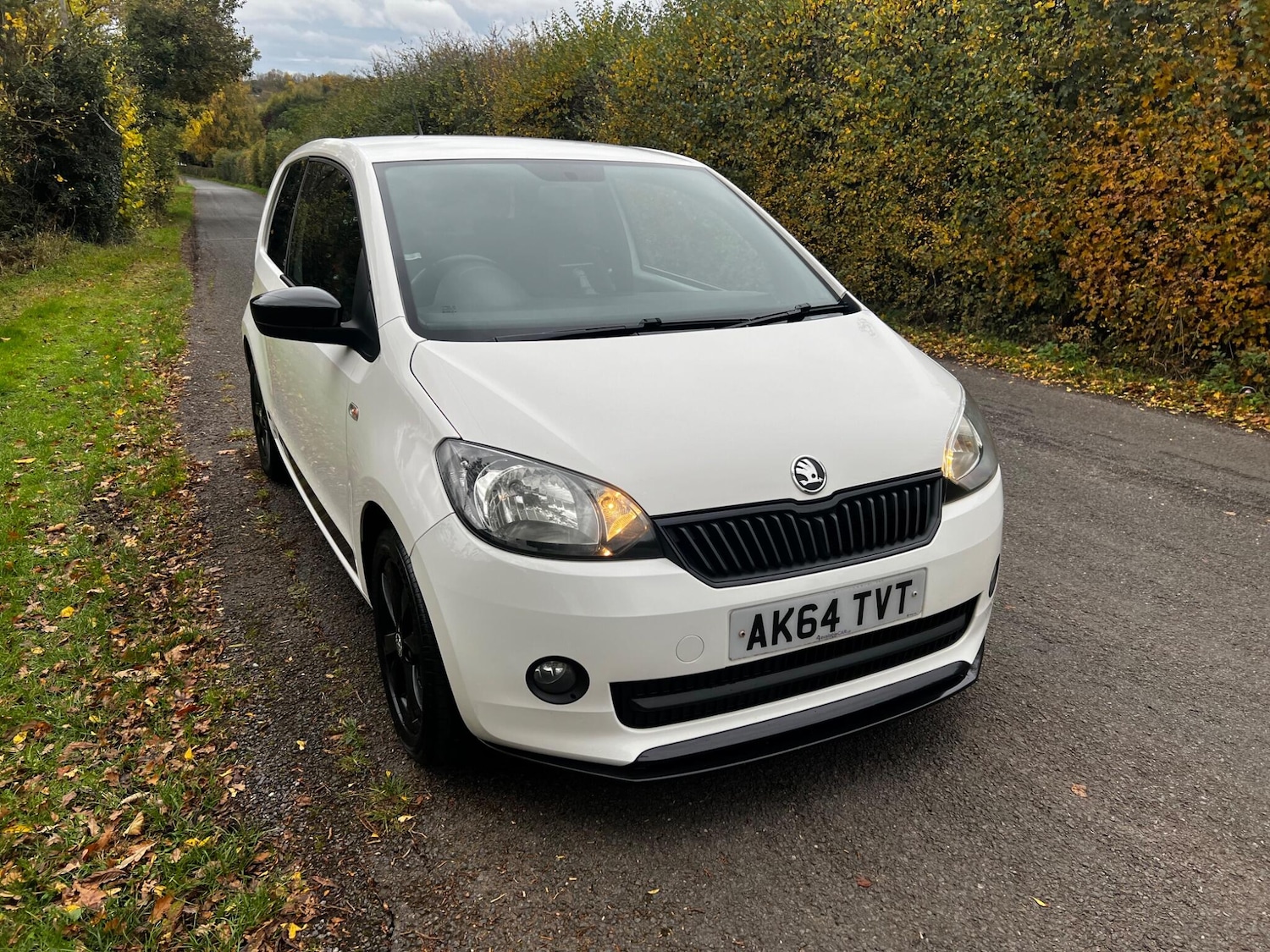 Used Skoda Citigo 2014 for sale - 76945987: Photo 14
