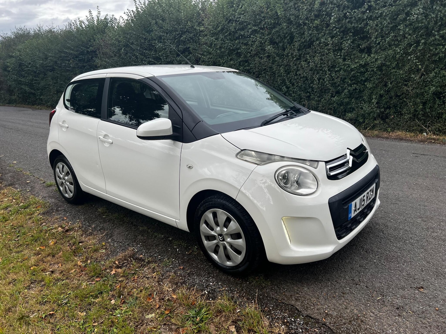 Vehicle 1