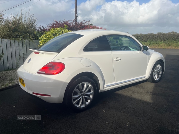 Used Volkswagen Beetle 2013 for sale - 76260724: Photo 4