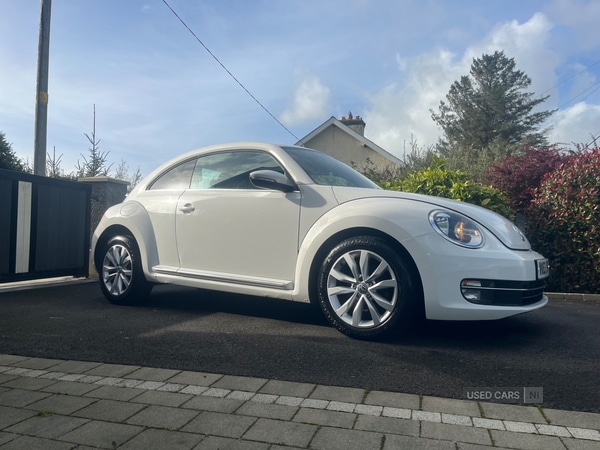 Used Volkswagen Beetle 2013 for sale - 76260724: Photo 5