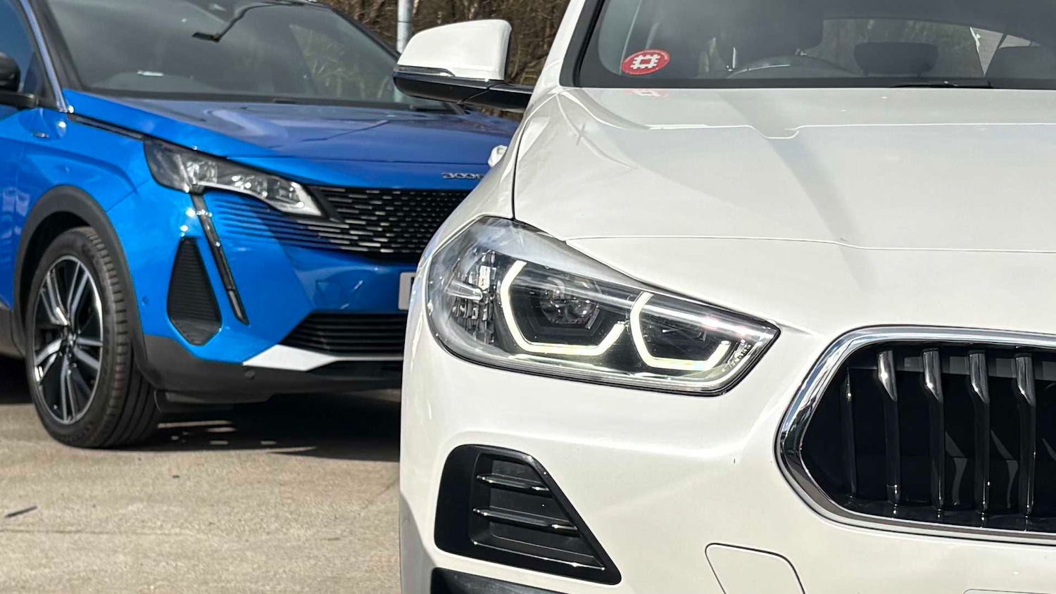 Used BMW X2 for sale - 77860550: Photo 6