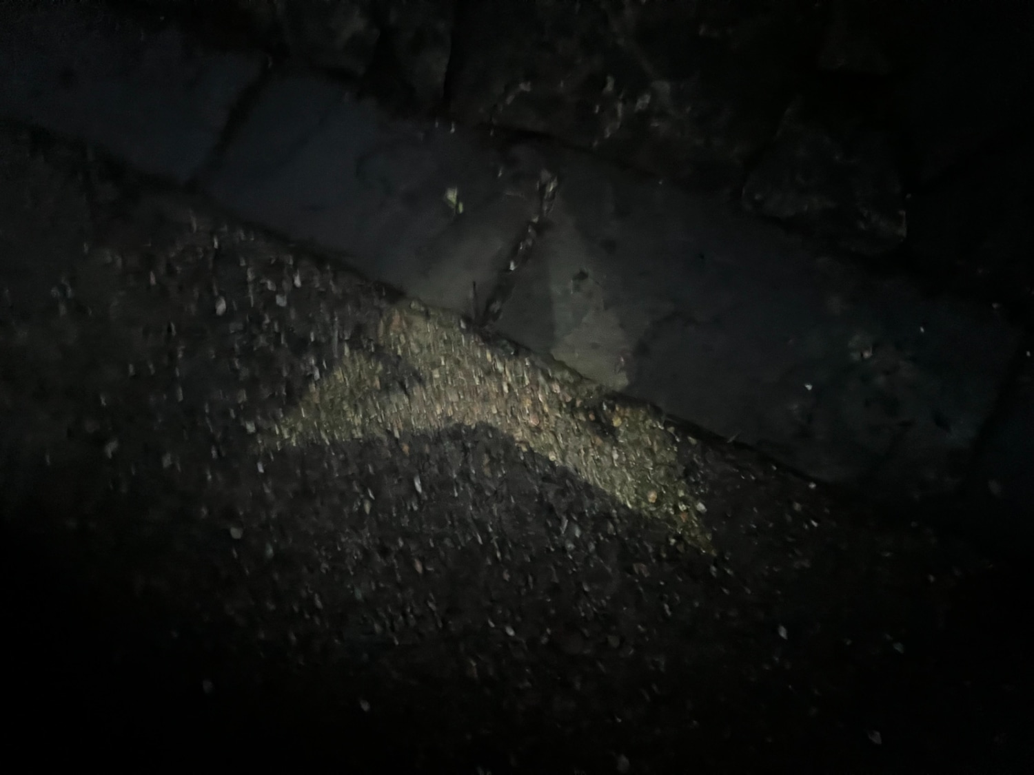 Used Cupra Formentor 2024 for sale - 77370765: Photo 13