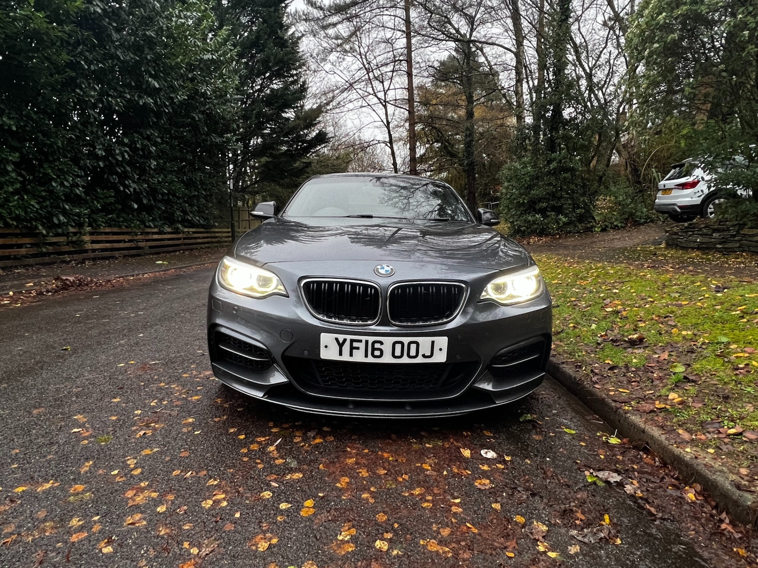 Used BMW 2 Series 2016 for sale - 76879617: Photo 10