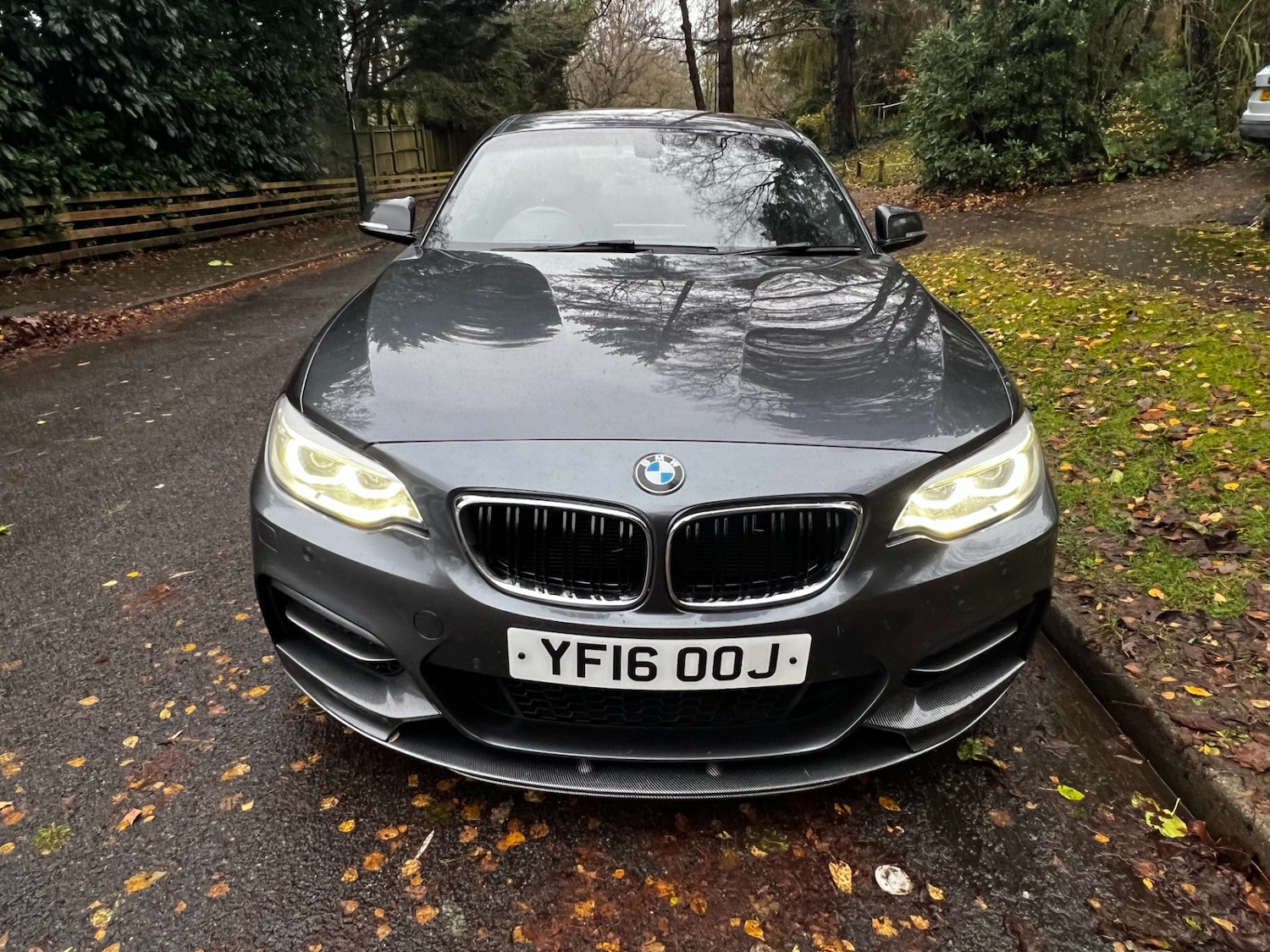 Used BMW 2 Series 2016 for sale - 76879617: Photo 3