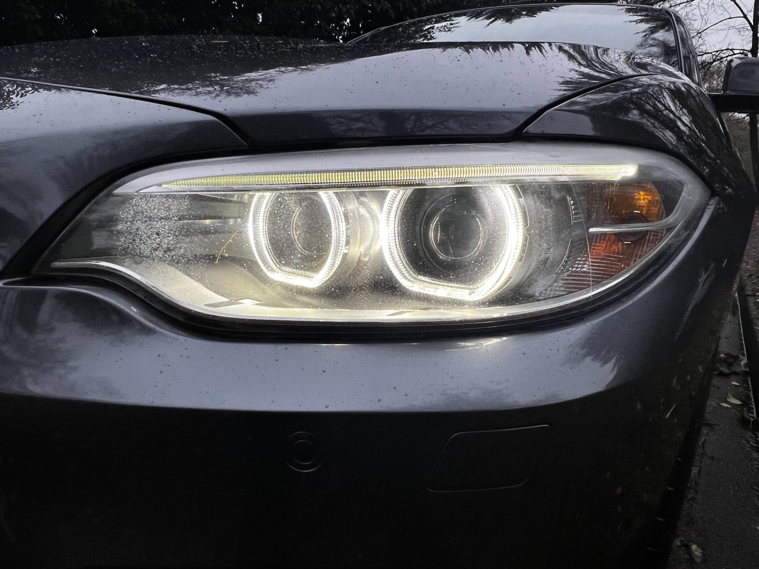 Used BMW 2 Series 2016 for sale - 76879617: Photo 35