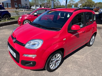 Used Fiat Panda 2017 for sale - 78341784: Photo