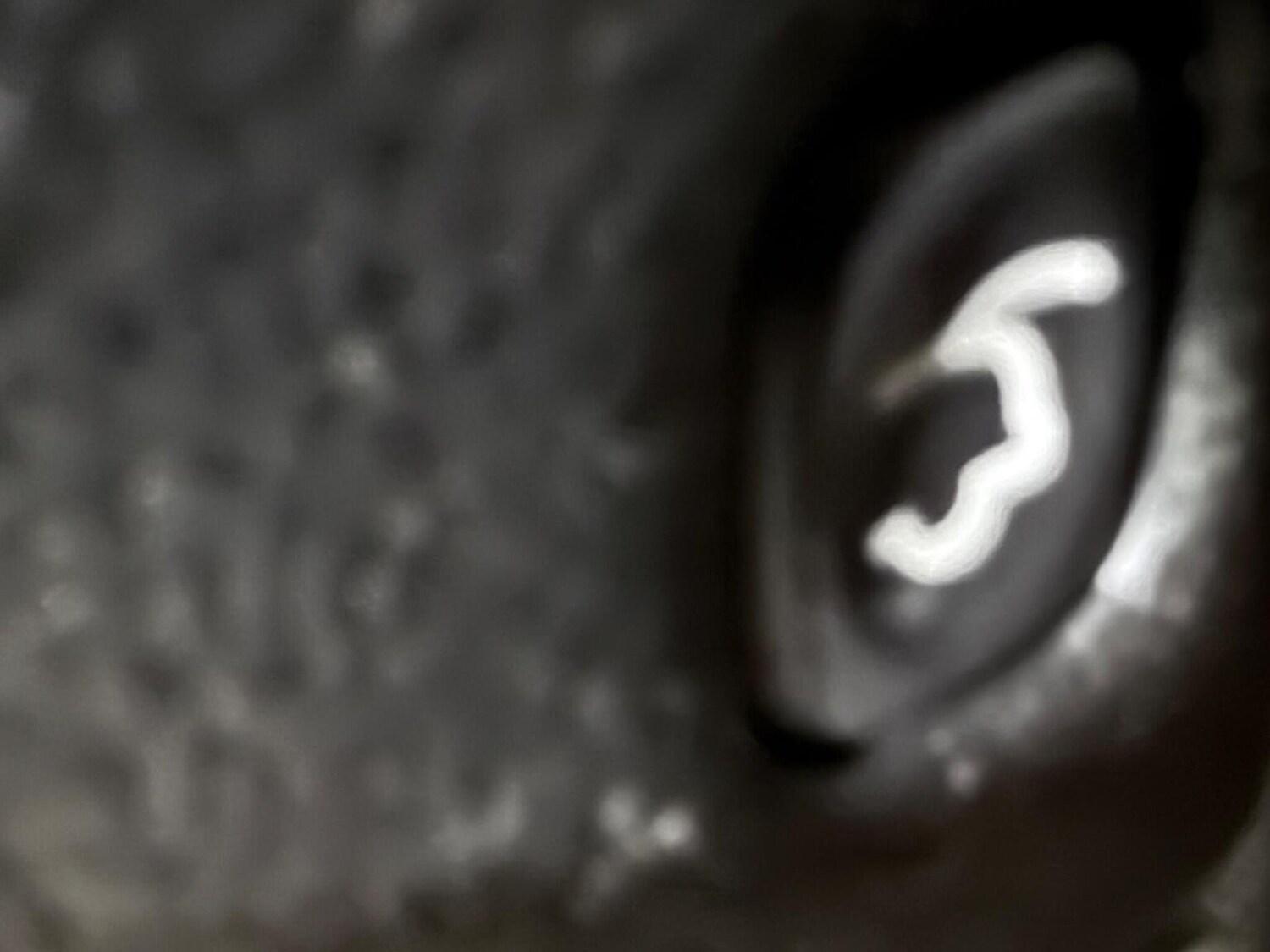 Used Jeep Grand Cherokee 2017 for sale - 78057131: Photo 29