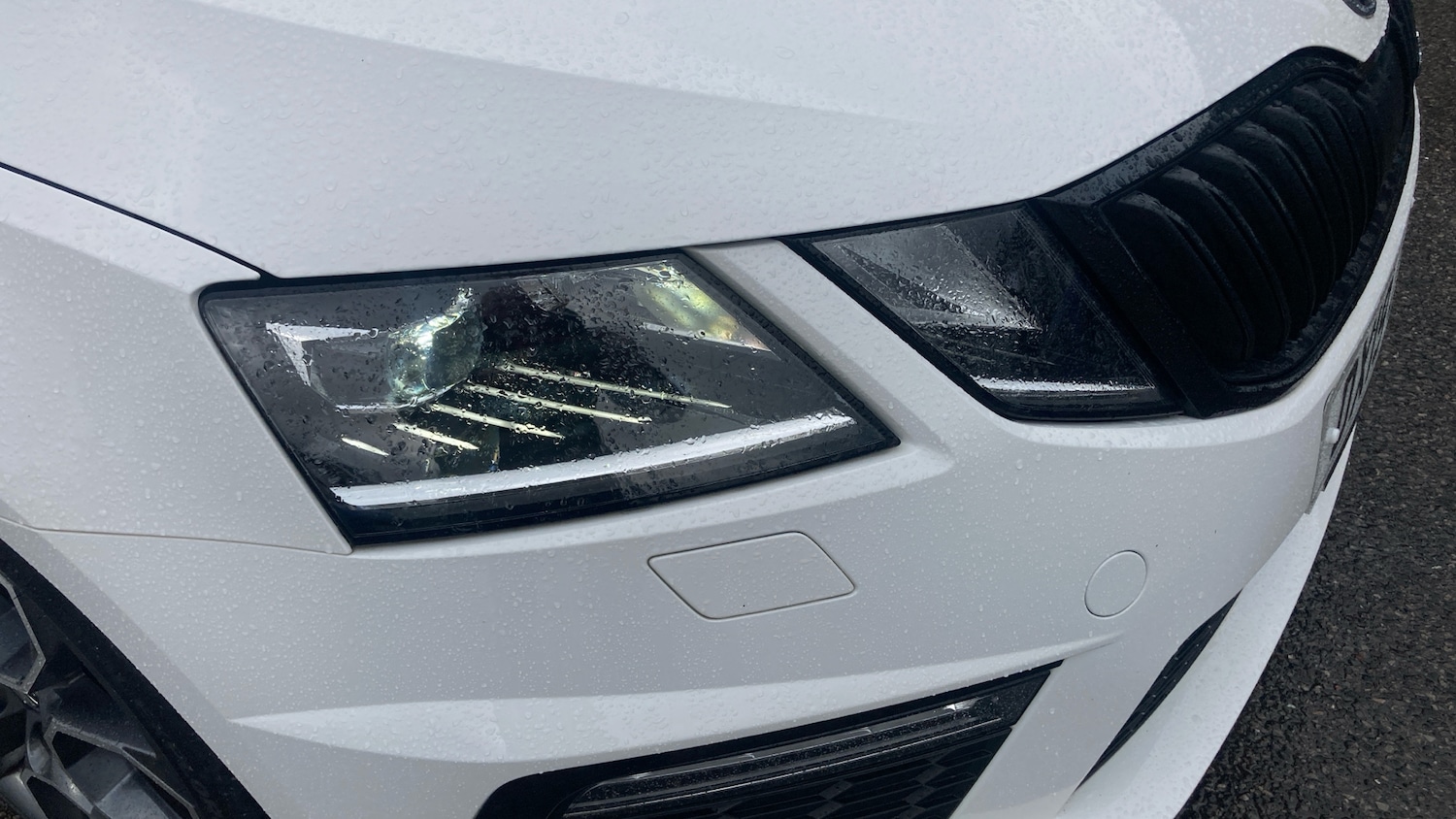 Used Skoda Octavia 2019 for sale - 77602380: Photo 31