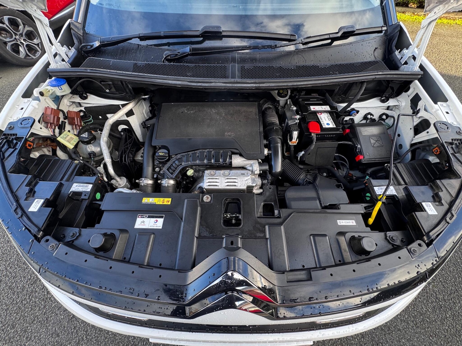 Used Citroen C5 Aircross 2020 for sale - 77132061: Photo 21