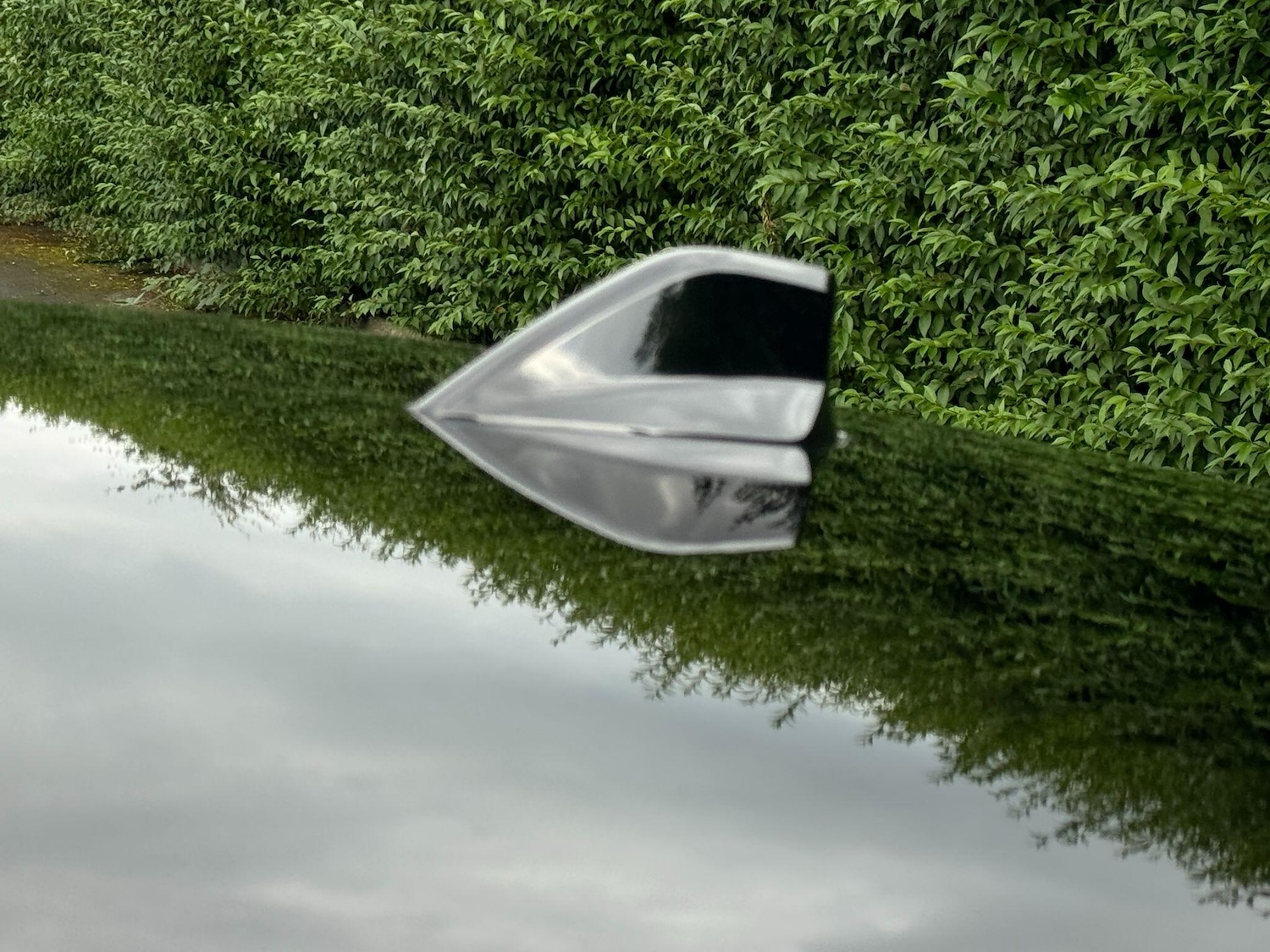 Used Citroen C4 2024 for sale - 77131947: Photo 17