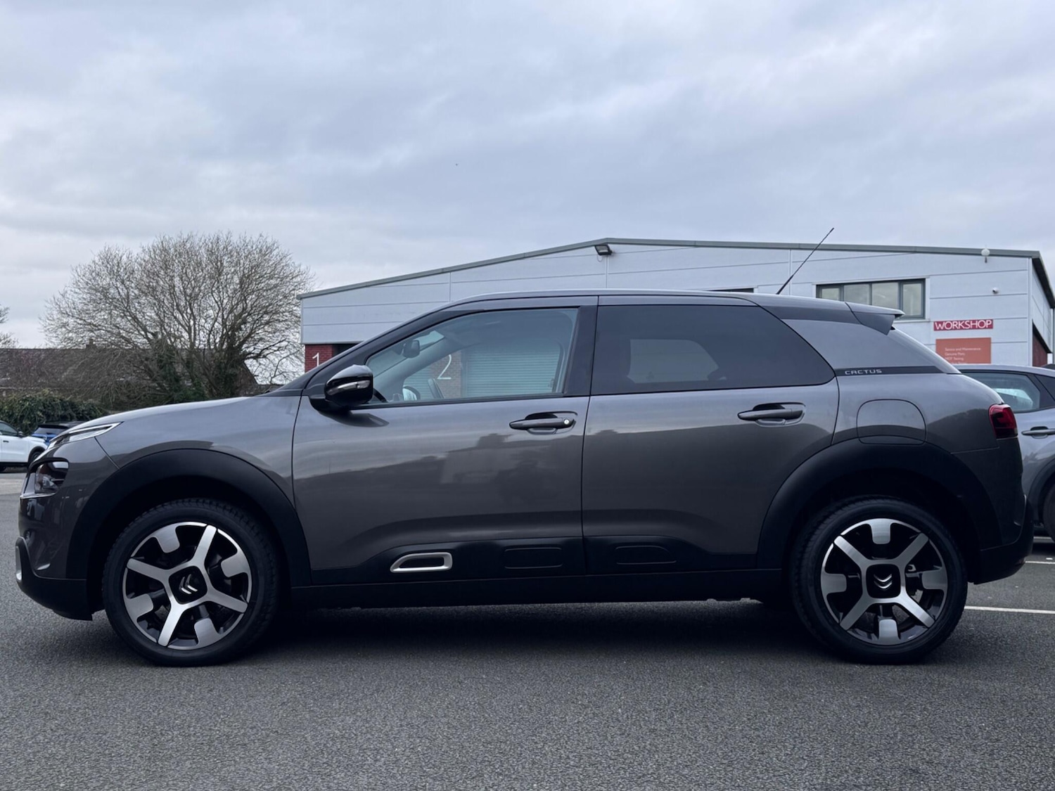 Used Citroen C4 Cactus 2019 for sale - 77670875: Photo 13