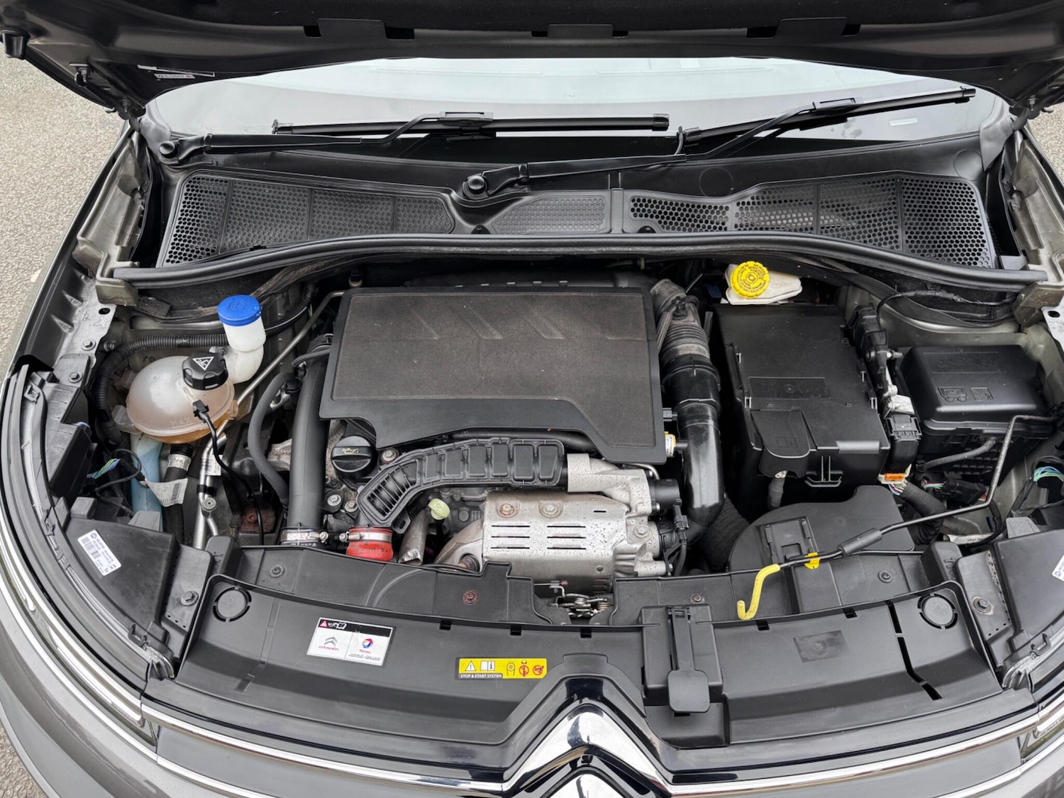 Used Citroen C4 Cactus 2019 for sale - 77670875: Photo 29