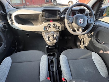 Used Fiat Panda 2022 for sale - 77978299: Photo