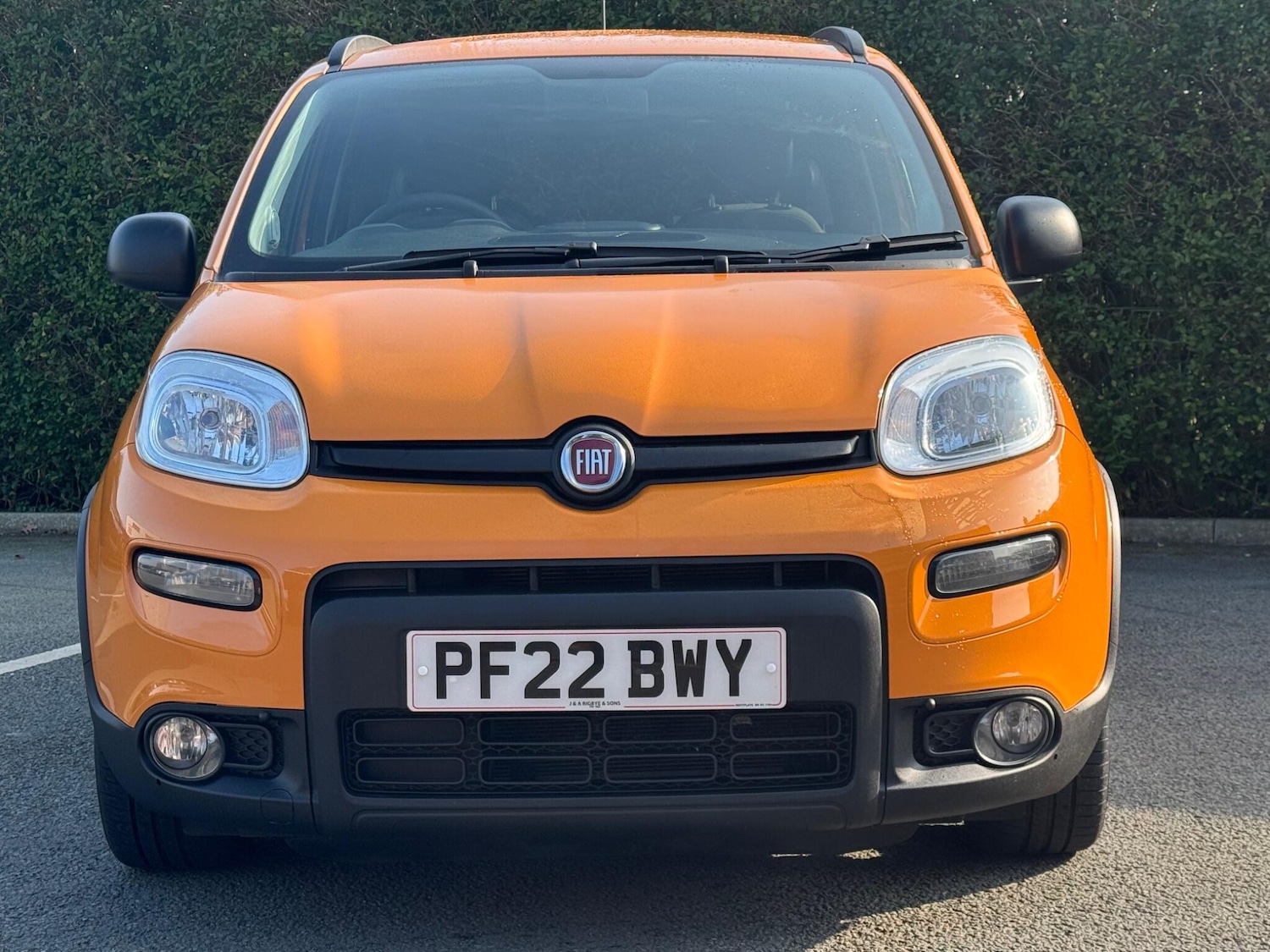 Used Fiat Panda 2022 for sale - 77978299: Photo 5