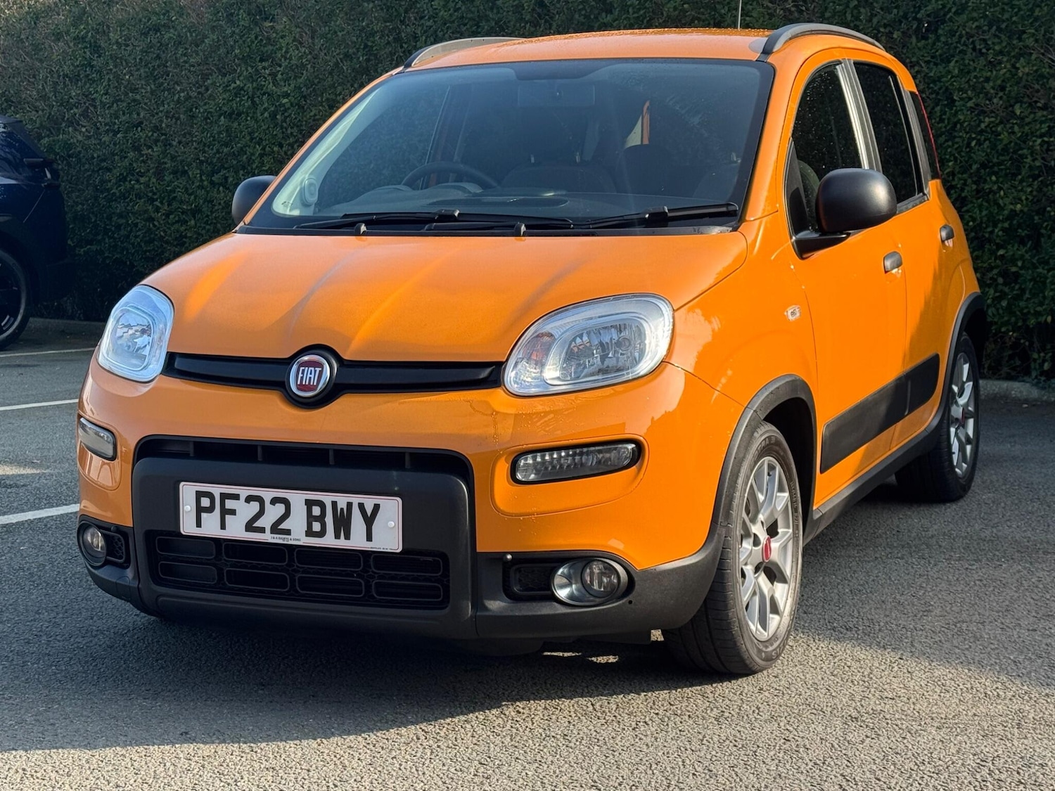 Used Fiat Panda 2022 for sale - 77978299: Photo 8