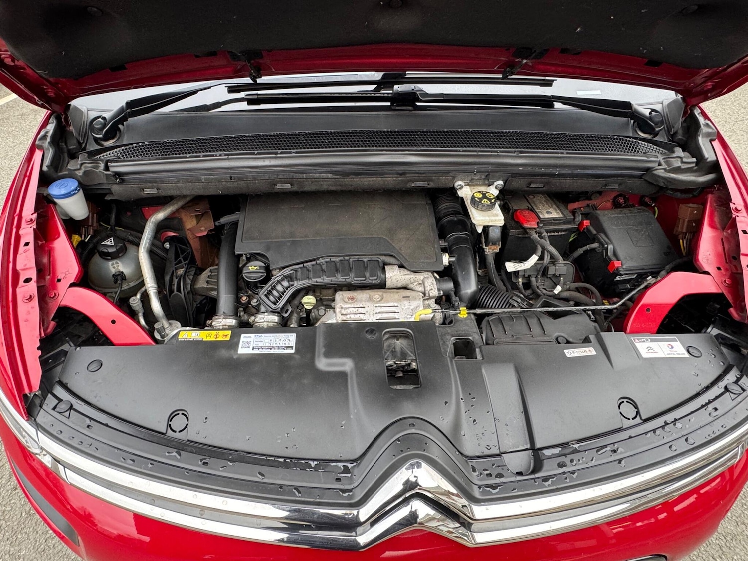 Used Citroen C4 for sale - 77824135: Photo 19