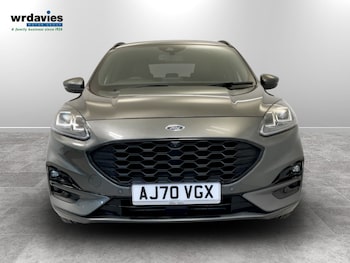 Used Ford Kuga 2020 for sale - 77960015: Photo