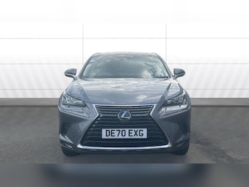 Used Lexus NX 2020 for sale - 75629950: Photo