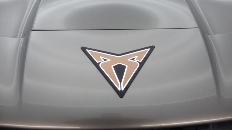 Used Cupra Tavascan 2025 for sale - 77746974: Photo 15