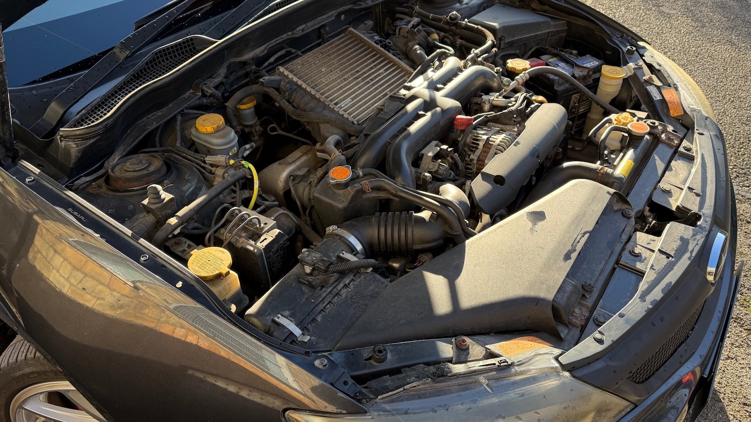 Used Subaru Impreza 2010 for sale - 76591925: Photo 25