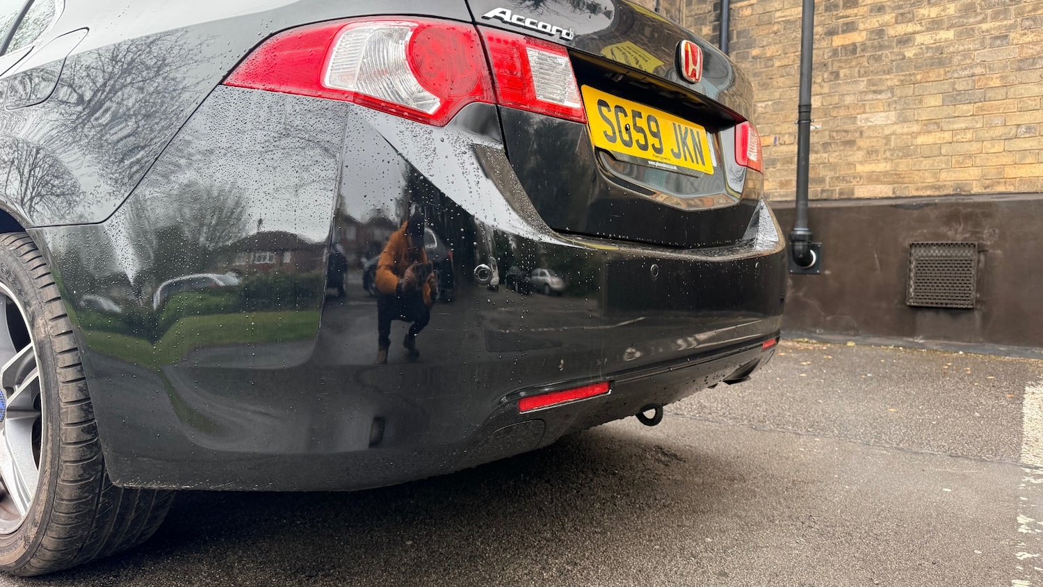 Used Honda Accord 2009 for sale - 76684453: Photo 30