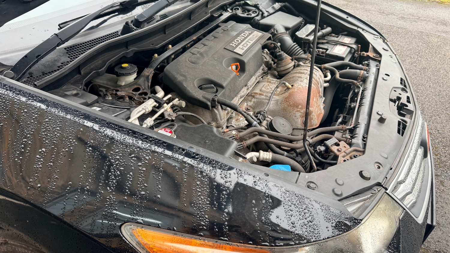 Used Honda Accord 2009 for sale - 76684453: Photo 36