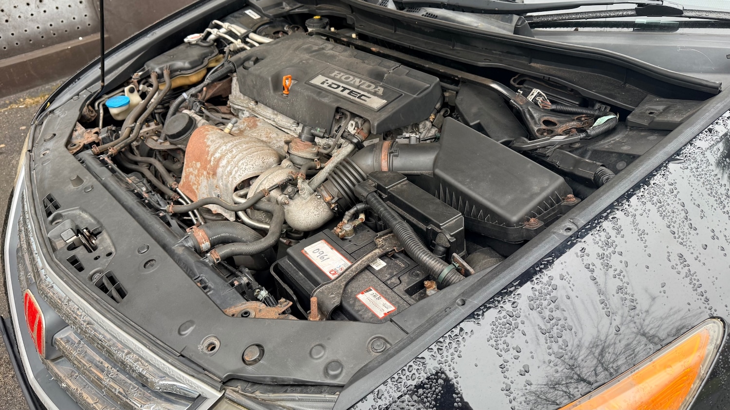 Used Honda Accord 2009 for sale - 76684453: Photo 37