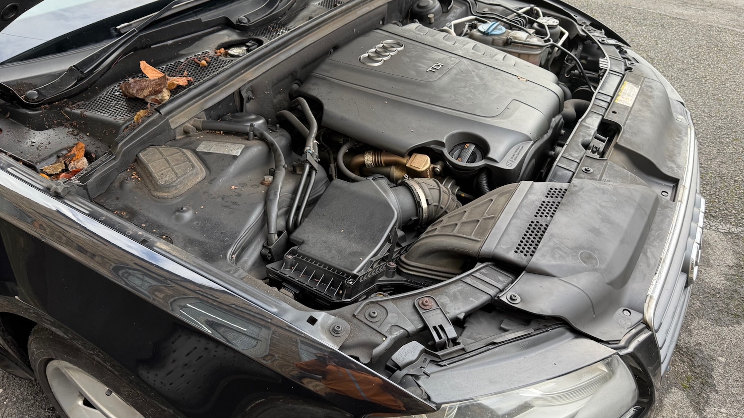 Used Audi A5 2011 for sale - 76652932: Photo 31