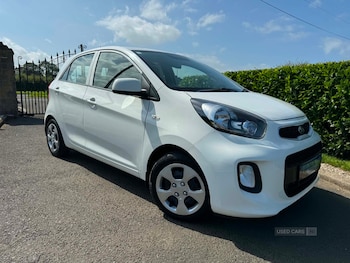 Used Kia Picanto 2016 for sale - 79401744: Photo