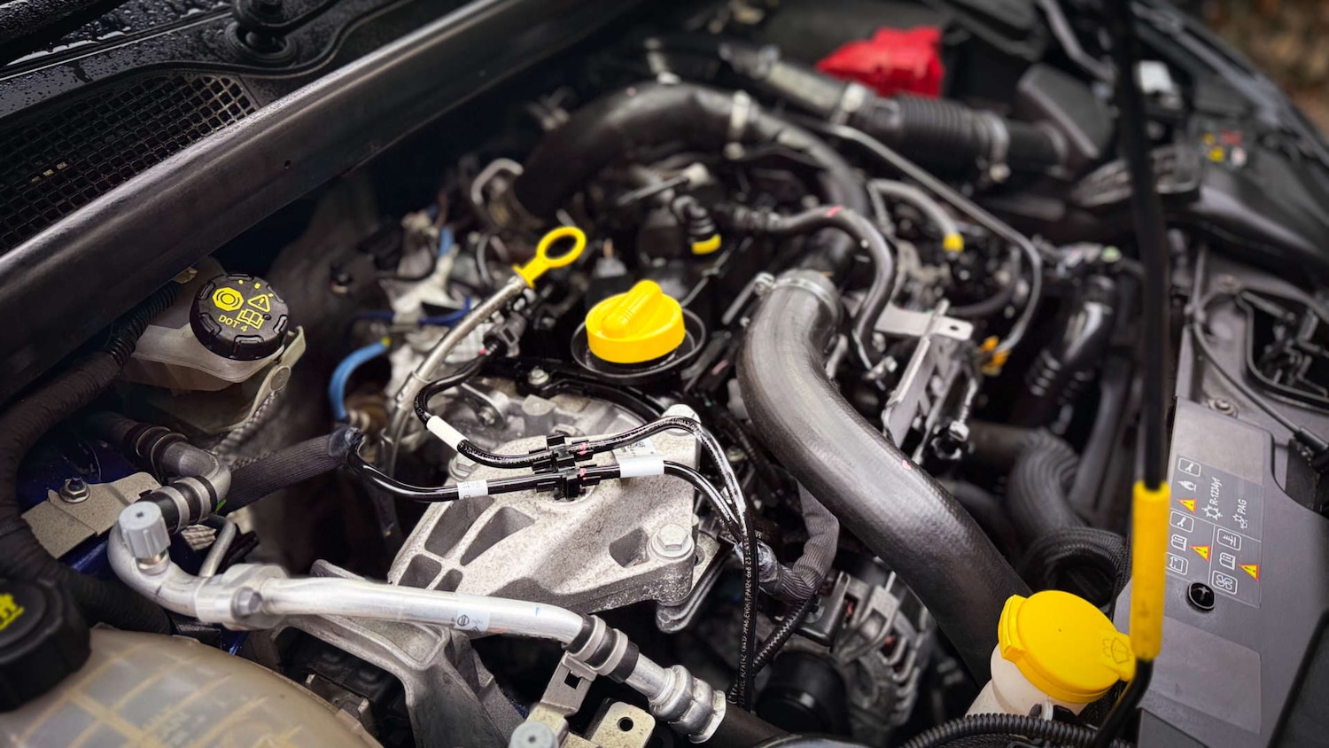 Used Renault Clio 2023 for sale - 77022293: Photo 24